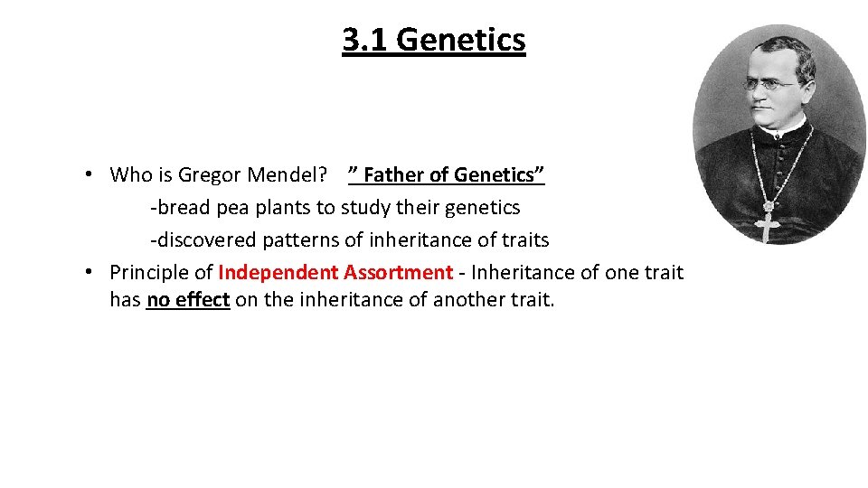 3. 1 Genetics • Who is Gregor Mendel? ” Father of Genetics” -bread pea