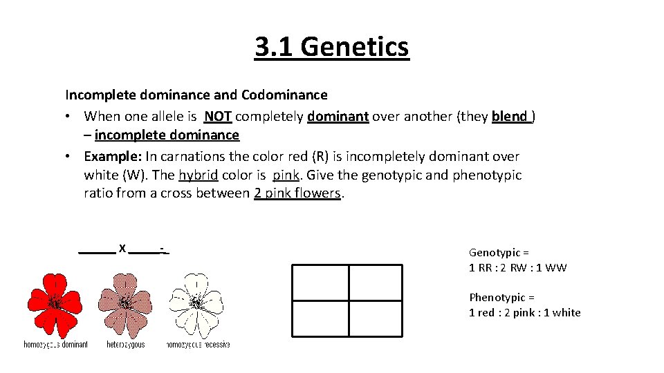 3. 1 Genetics Incomplete dominance and Codominance • When one allele is NOT completely