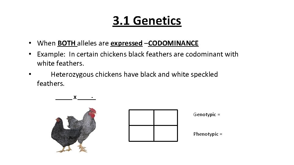 3. 1 Genetics • When BOTH alleles are expressed –CODOMINANCE • Example: In certain