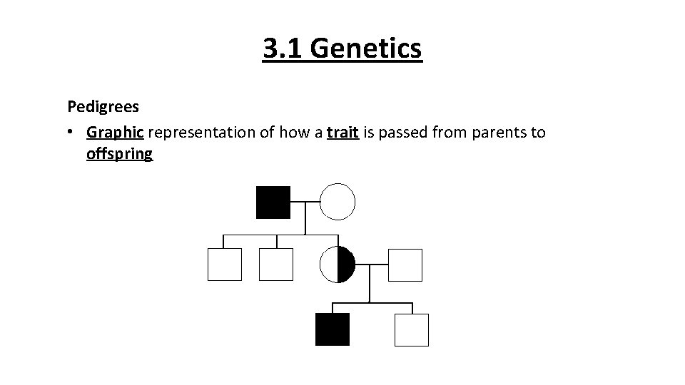 3. 1 Genetics Pedigrees • Graphic representation of how a trait is passed from