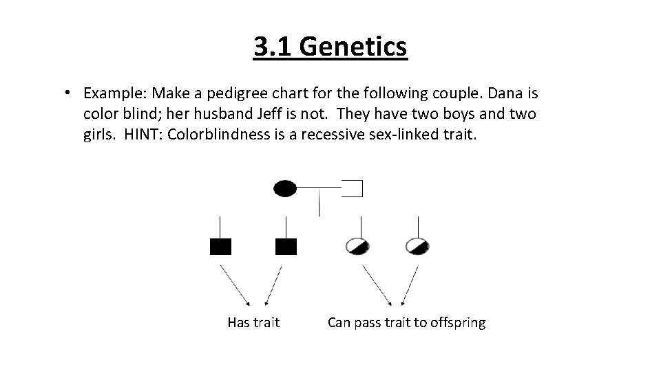 3. 1 Genetics • Example: Make a pedigree chart for the following couple. Dana
