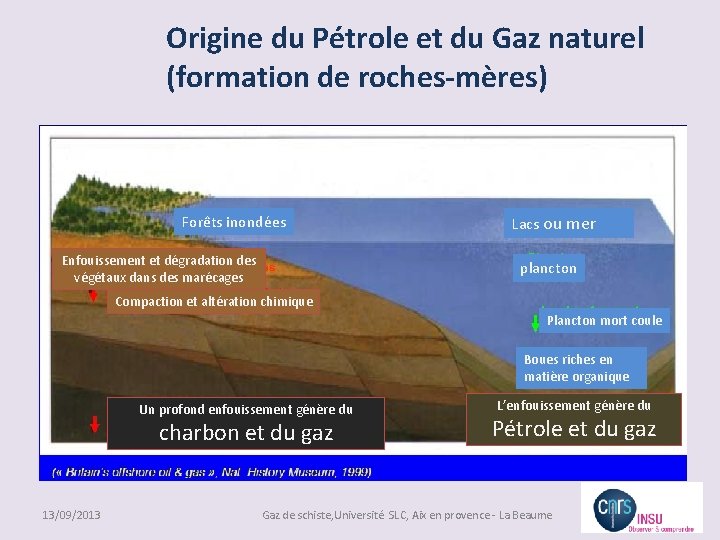 Origine du Pétrole et du Gaz naturel (formation de roches-mères) Forêts inondées Enfouissement et