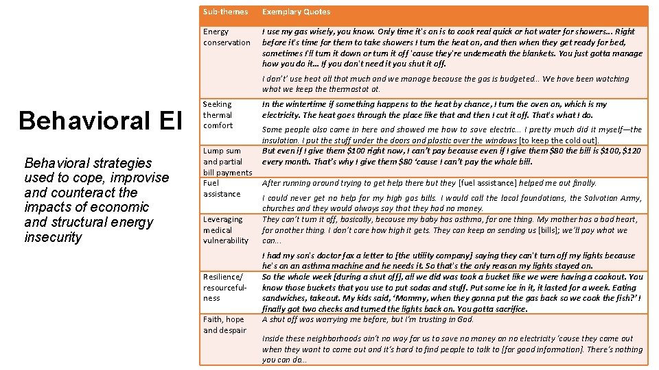 Behavioral EI Behavioral strategies used to cope, improvise and counteract the impacts of economic