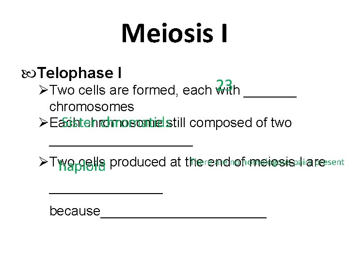Meiosis I Telophase I 23 Two cells are formed, each with _______ chromosomes Sister