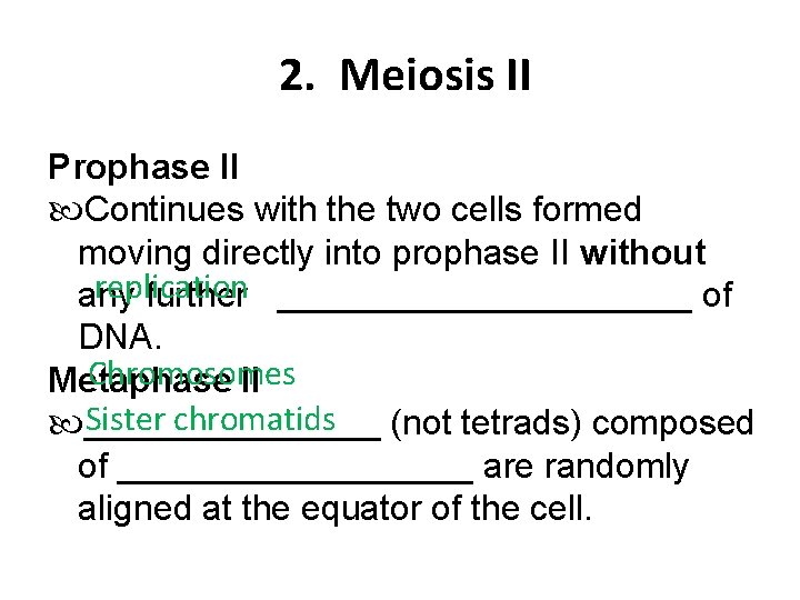 2. Meiosis II Prophase II Continues with the two cells formed moving directly into