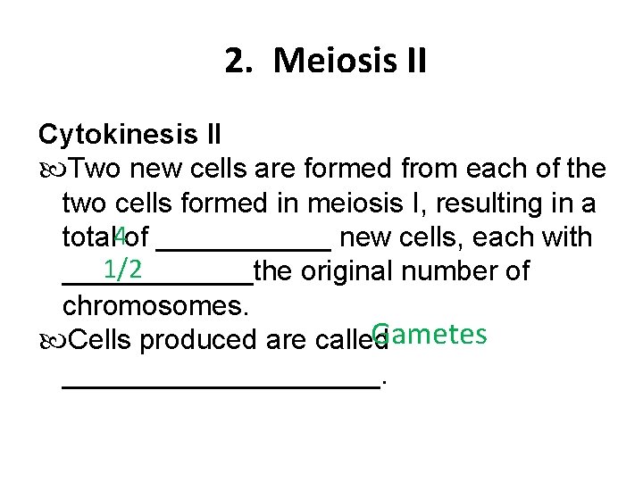 2. Meiosis II Cytokinesis II Two new cells are formed from each of the