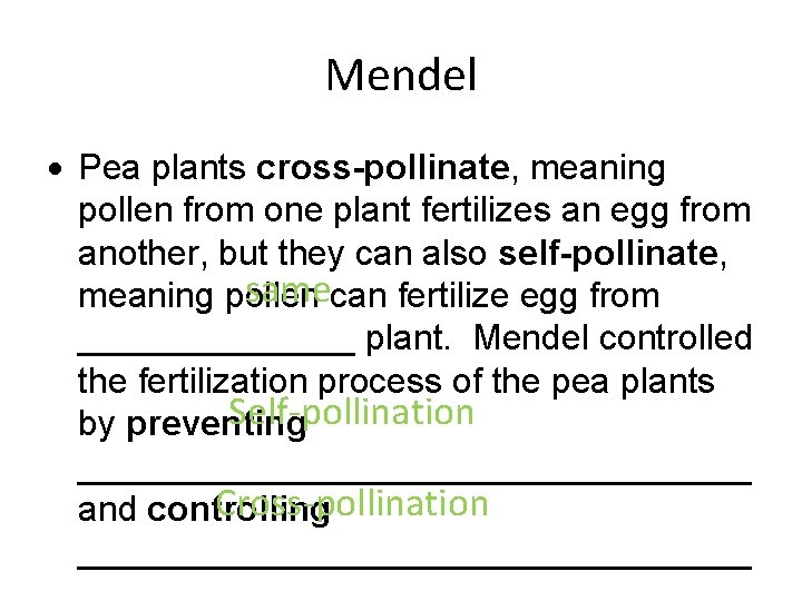 Mendel Pea plants cross-pollinate, meaning pollen from one plant fertilizes an egg from another,