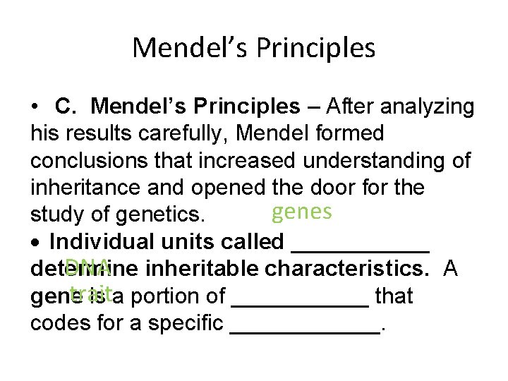 Mendel’s Principles • C. Mendel’s Principles – After analyzing his results carefully, Mendel formed
