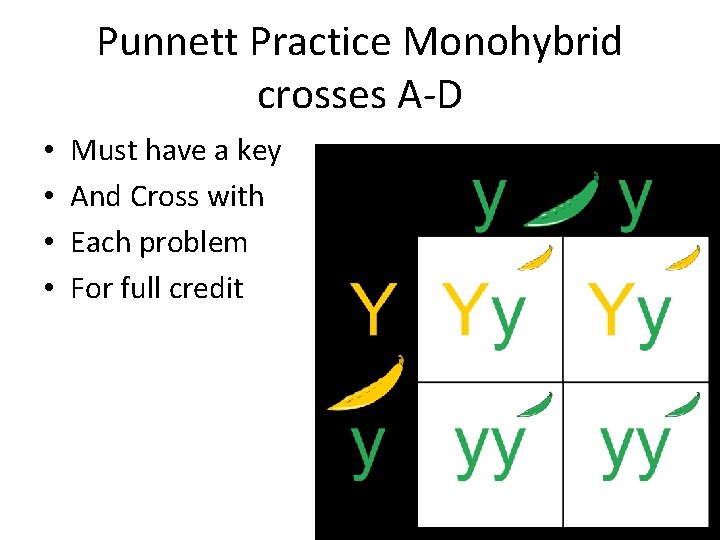 Punnett Practice Monohybrid crosses A-D • • Must have a key And Cross with