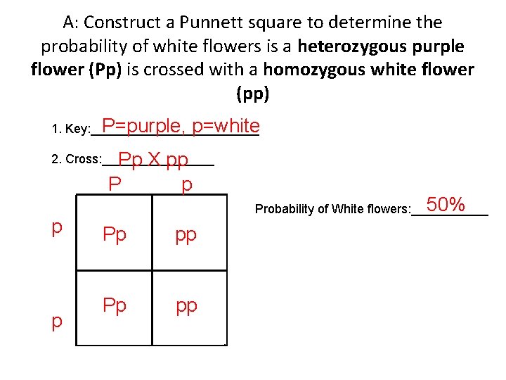 A: Construct a Punnett square to determine the probability of white flowers is a