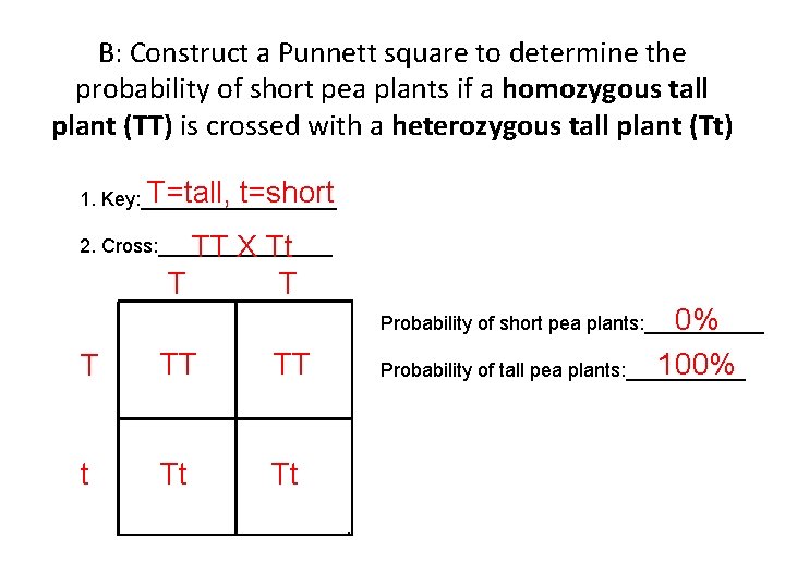 B: Construct a Punnett square to determine the probability of short pea plants if