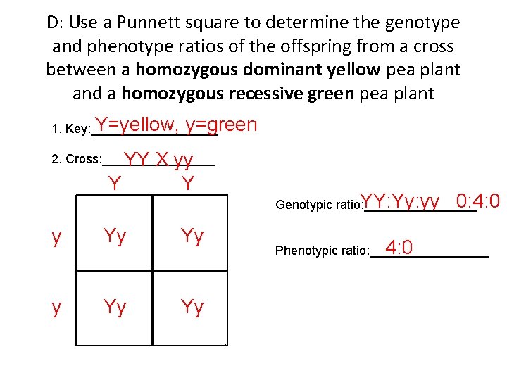 D: Use a Punnett square to determine the genotype and phenotype ratios of the