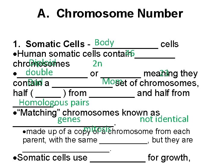  A. Chromosome Number Body 1. Somatic Cells - _______ cells 46 Human somatic