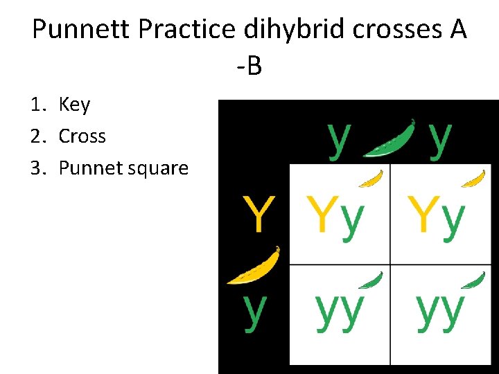 Punnett Practice dihybrid crosses A -B 1. Key 2. Cross 3. Punnet square 