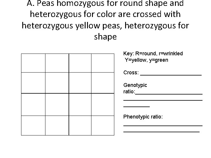 A. Peas homozygous for round shape and heterozygous for color are crossed with heterozygous