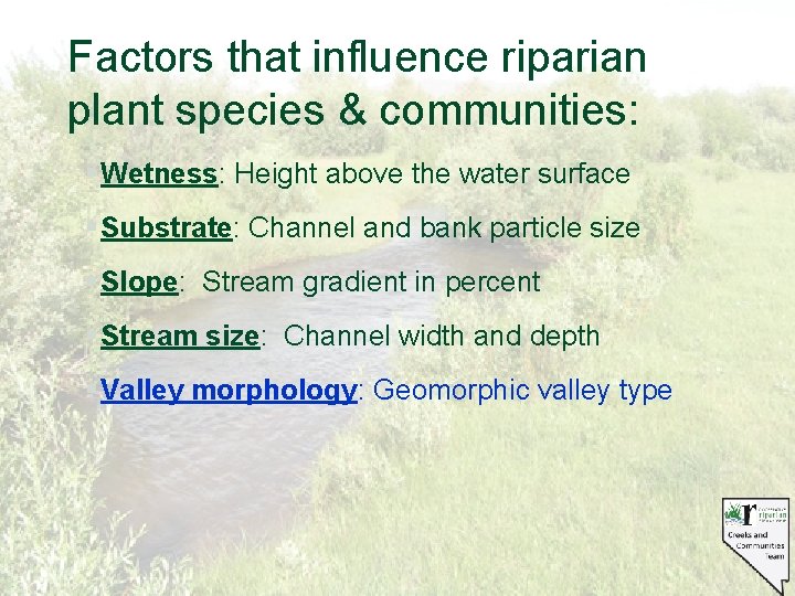 Factors that influence riparian plant species & communities: § Wetness: Height above the water