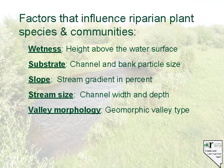 Factors that influence riparian plant species & communities: § Wetness: Height above the water