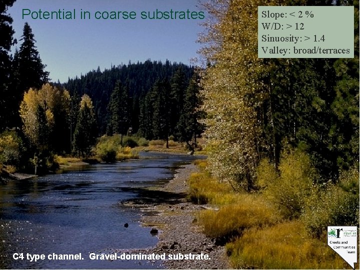 Potential in coarse substrates C 4 type channel. Gravel-dominated substrate. Slope: < 2 %