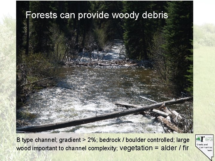 Forests can provide woody debris B type channel; gradient > 2%; bedrock / boulder