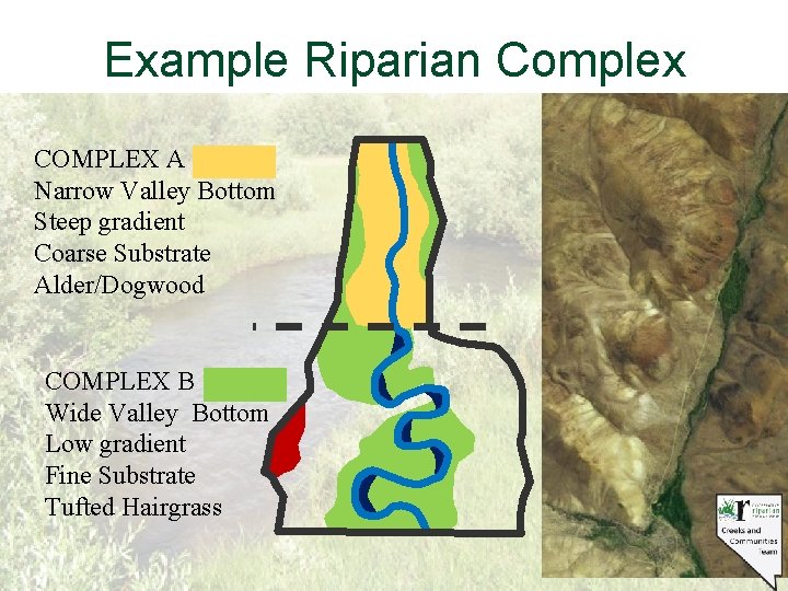 Example Riparian Complex COMPLEX A Narrow Valley Bottom Steep gradient Coarse Substrate Alder/Dogwood COMPLEX