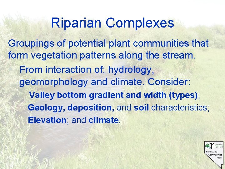 Riparian Complexes Groupings of potential plant communities that form vegetation patterns along the stream.