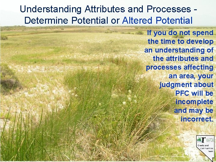 Understanding Attributes and Processes Determine Potential or Altered Potential If you do not spend