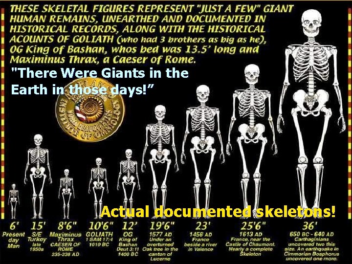 "There Were Giants in the Earth in those days!” Actual documented skeletons! 