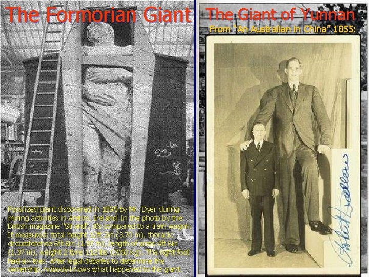 The Formorian Giant Fossilized giant discovered in 1895 by Mr. Dyer during mining activities