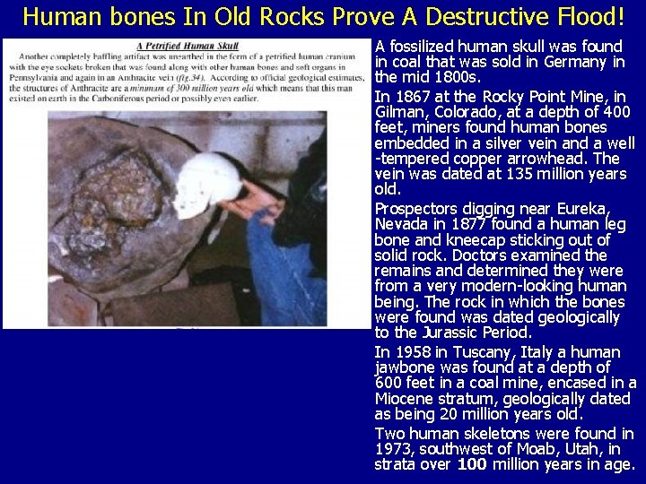 Human bones In Old Rocks Prove A Destructive Flood! A fossilized human skull was