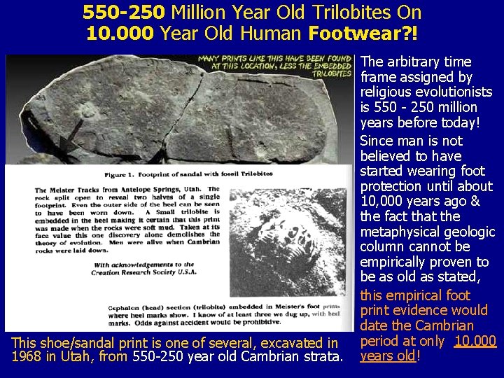 550 -250 Million Year Old Trilobites On 10. 000 Year Old Human Footwear? !