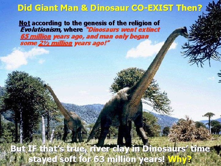 Did Giant Man & Dinosaur CO-EXIST Then? Not according to the genesis of the