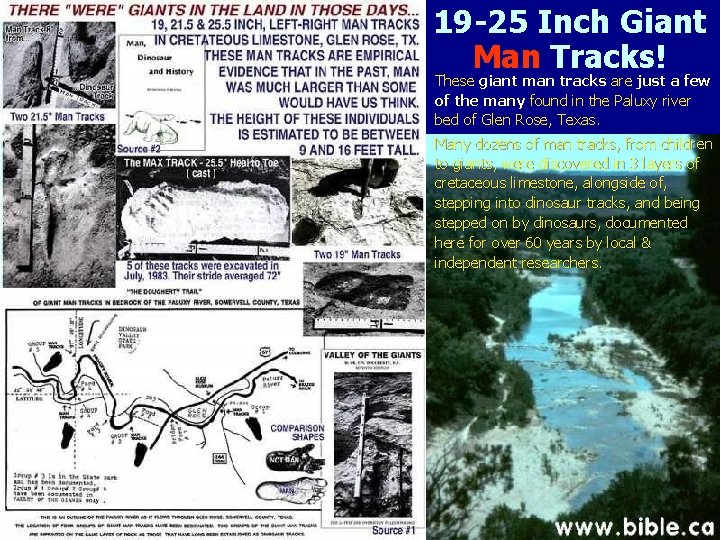 19 -25 Inch Giant Man Tracks! These giant man tracks are just a few