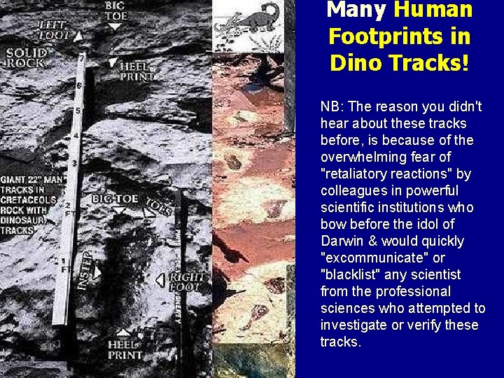Many Human Footprints in Dino Tracks! NB: The reason you didn't hear about these
