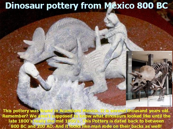 Dinosaur pottery from Mexico 800 BC This pottery was found in Acambaro Mexico. It