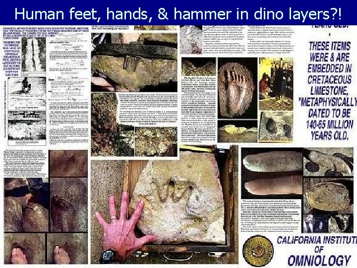 Human feet, hands, & hammer in dino layers? ! 