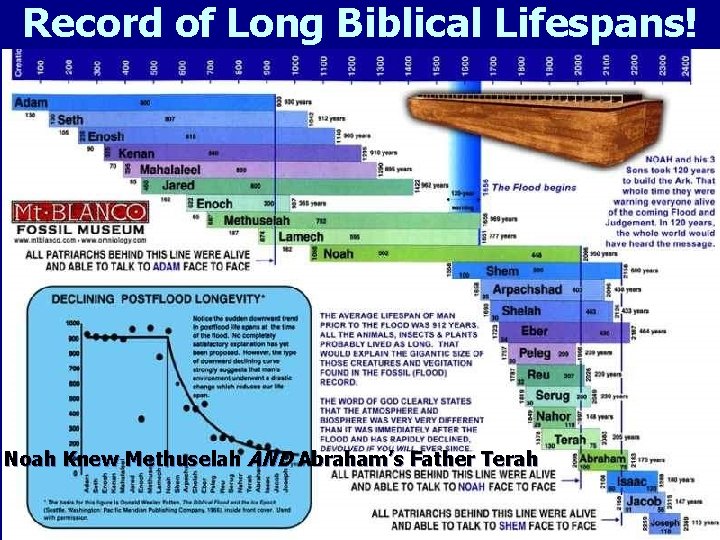 Record of Long Biblical Lifespans! Noah Knew Methuselah AND Abraham’s Father Terah 