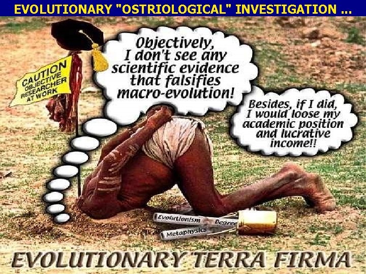 EVOLUTIONARY "OSTRIOLOGICAL" INVESTIGATION. . . 