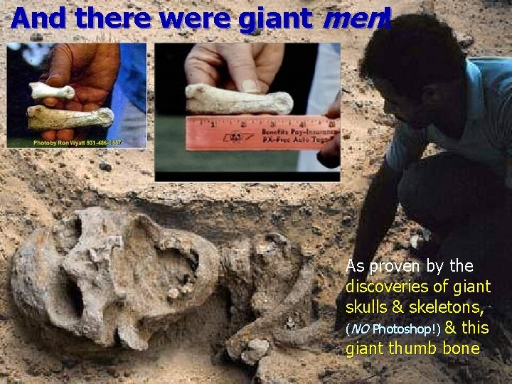 And there were giant men! As proven by the discoveries of giant skulls &