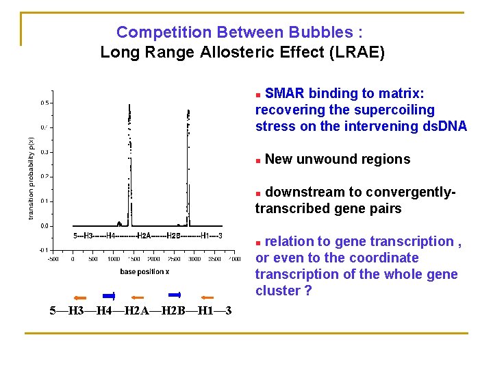 Competition Between Bubbles : Long Range Allosteric Effect (LRAE) SMAR binding to matrix: recovering