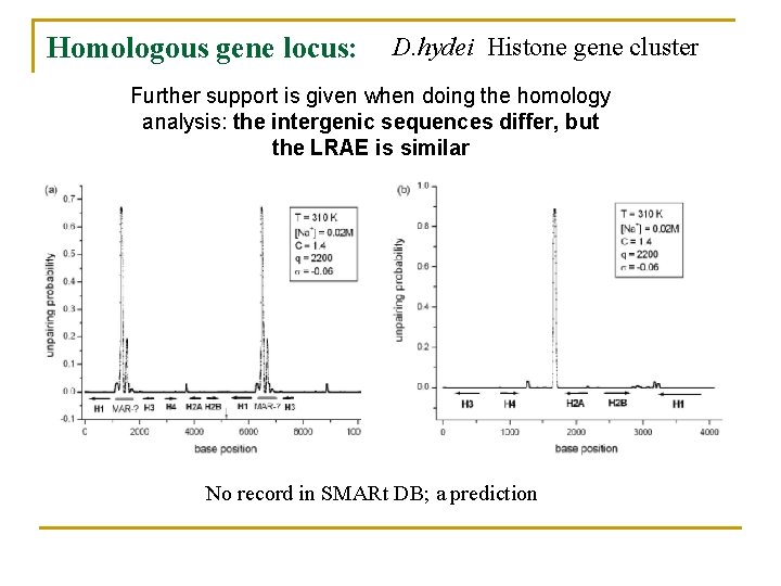 Homologous gene locus: D. hydei Histone gene cluster Further support is given when doing