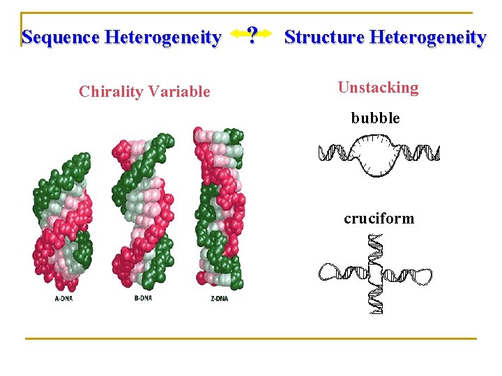 Sequence Heterogeneity Chirality Variable ? Structure Heterogeneity Unstacking bubble cruciform 