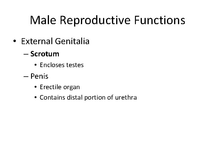 Male Reproductive Functions • External Genitalia – Scrotum • Encloses testes – Penis •