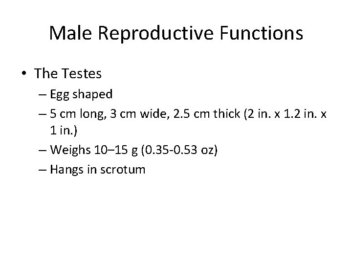 Male Reproductive Functions • The Testes – Egg shaped – 5 cm long, 3