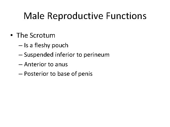 Male Reproductive Functions • The Scrotum – Is a fleshy pouch – Suspended inferior