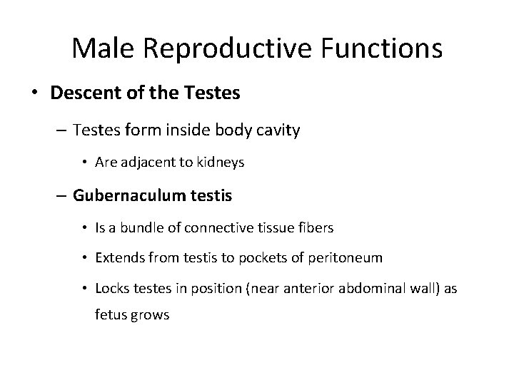 Male Reproductive Functions • Descent of the Testes – Testes form inside body cavity