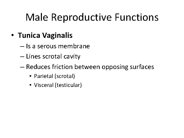 Male Reproductive Functions • Tunica Vaginalis – Is a serous membrane – Lines scrotal