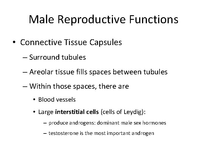 Male Reproductive Functions • Connective Tissue Capsules – Surround tubules – Areolar tissue fills
