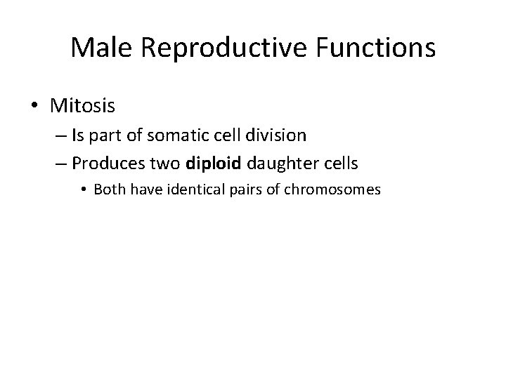 Male Reproductive Functions • Mitosis – Is part of somatic cell division – Produces