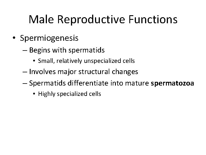 Male Reproductive Functions • Spermiogenesis – Begins with spermatids • Small, relatively unspecialized cells