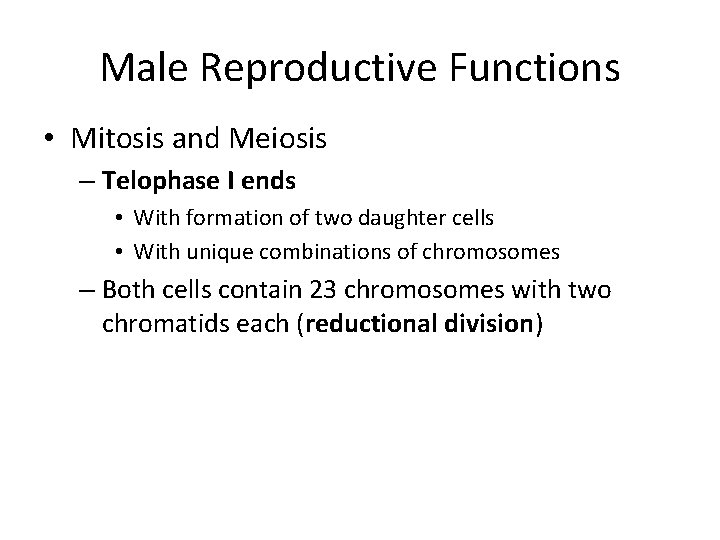Male Reproductive Functions • Mitosis and Meiosis – Telophase I ends • With formation